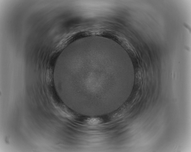 X0000095130218200712071315