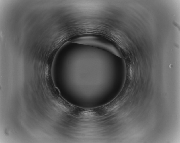 X0000095130219200712071315