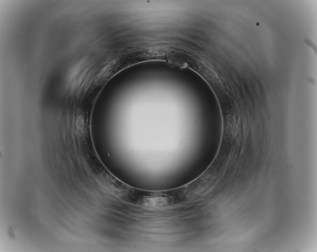 X0000095130220200712071315