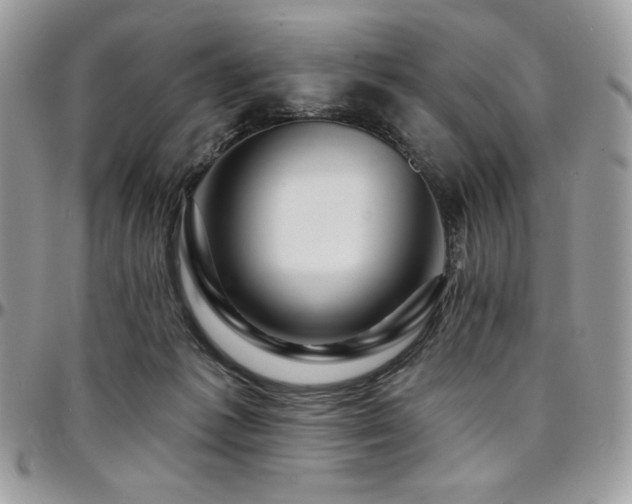 X0000095130221200712071315