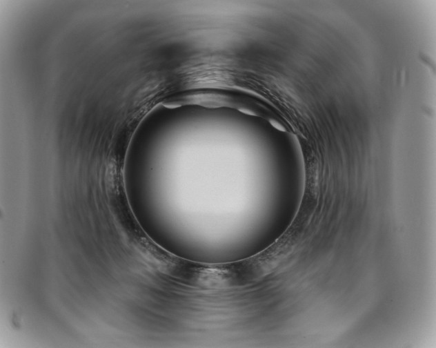 X0000095130222200712071315