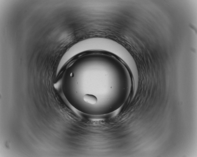 X0000095130223200712071315