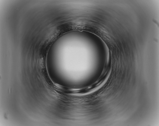 X0000095130224200712071315