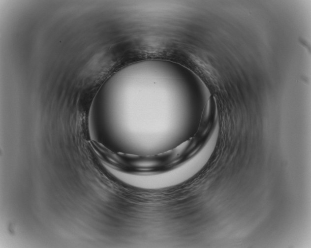 X0000095130225200712071315