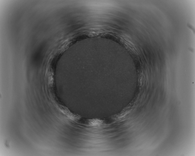 X0000095130226200712071315