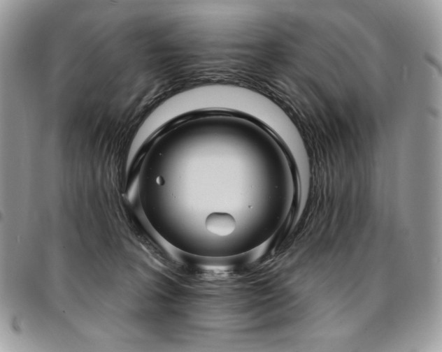 X0000095130227200712071315