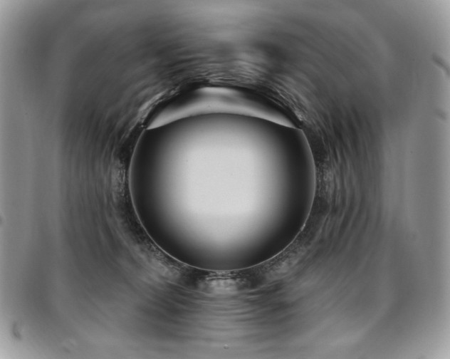 X0000095130228200712071315