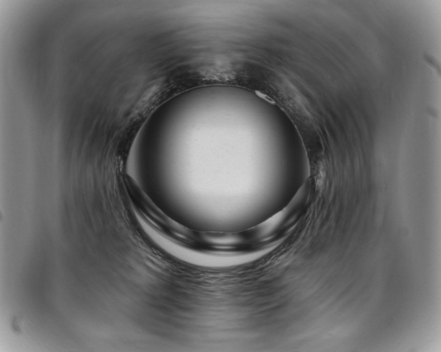 X0000095130229200712071315