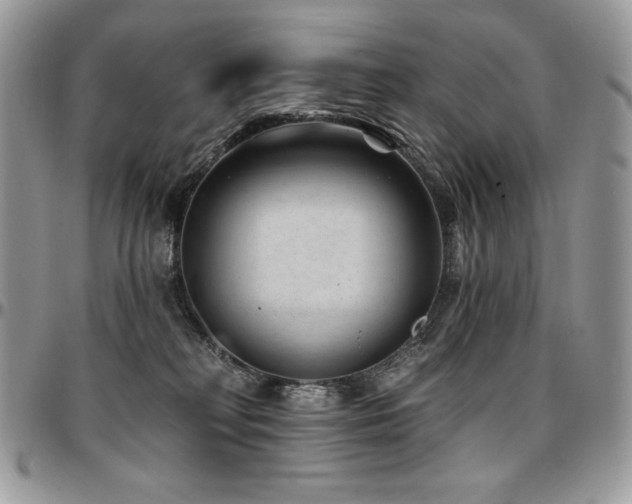 X0000095130230200712071315