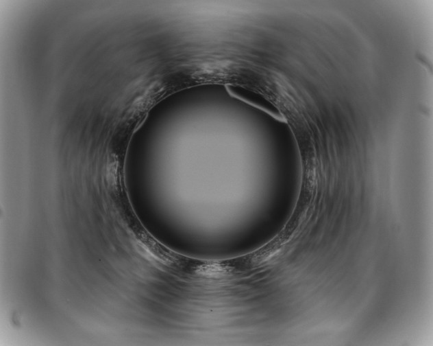 X0000095130231200712071315