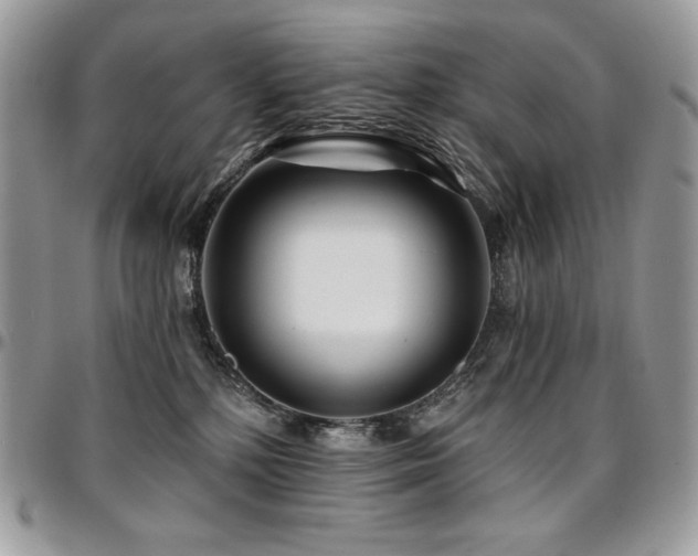 X0000095130232200712071315