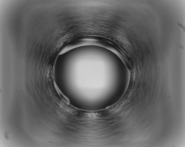 X0000095130233200712071315