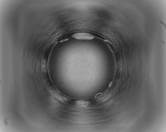 X0000095130234200712071315