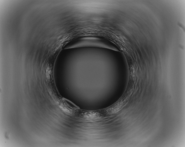 X0000095130235200712071315