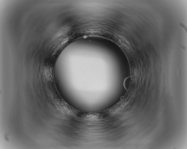 X0000095130236200712071315