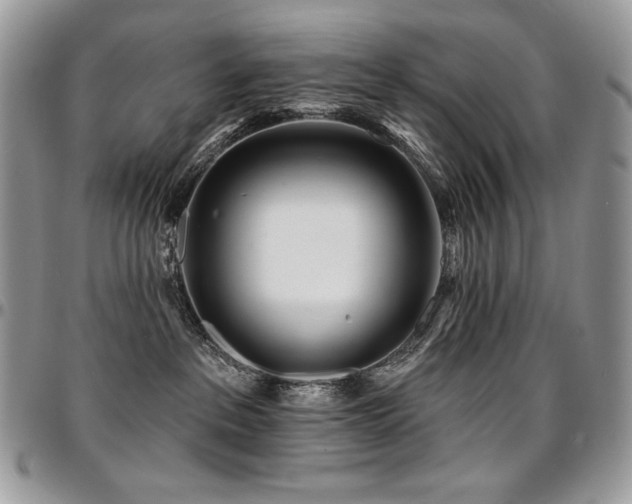 X0000095130237200712071315