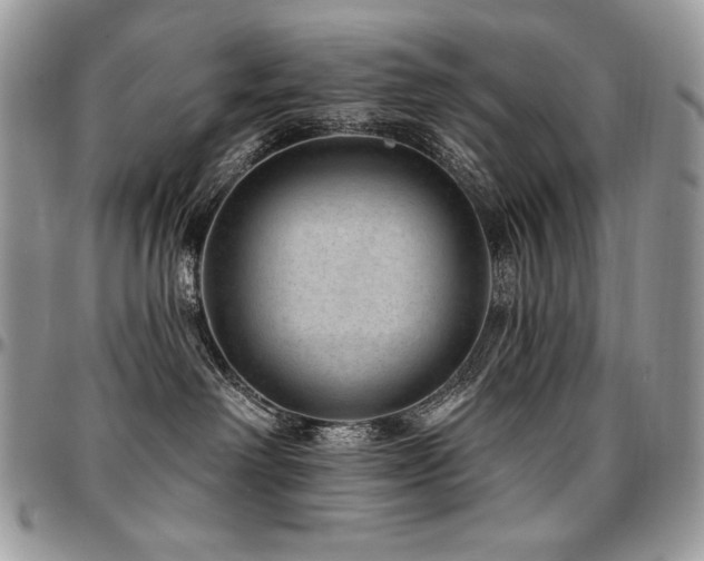 X0000095130238200712071315