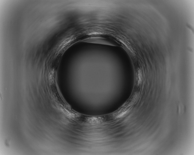 X0000095130239200712071315