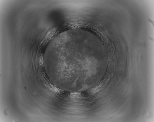 X0000095130240200712071315