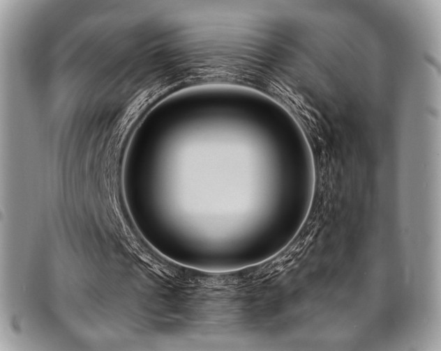 X0000095130241200712071314