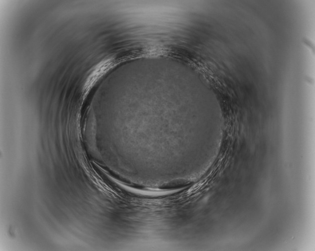 X0000095130242200712071314