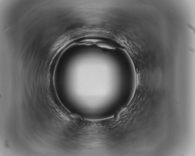 X0000095130243200712071314