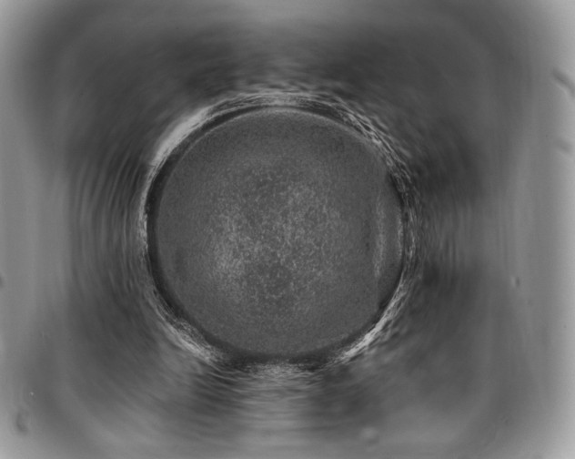 X0000095130246200712071314