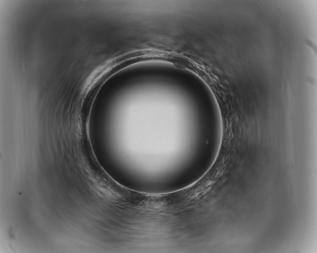 X0000095130247200712071314