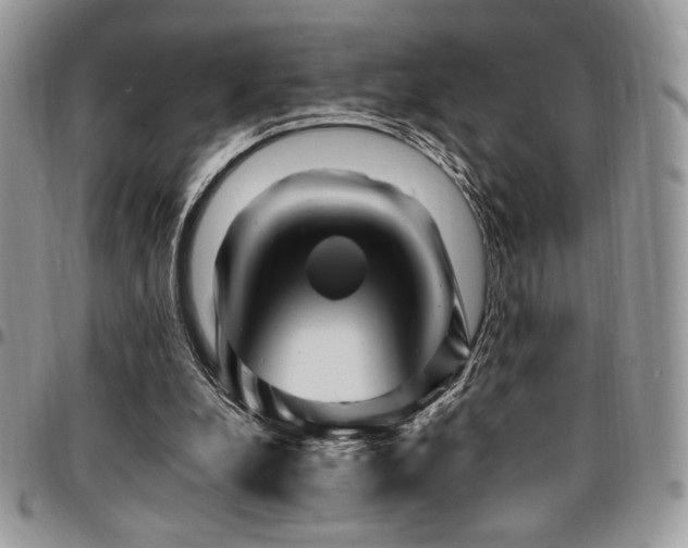 X0000095130248200712071314