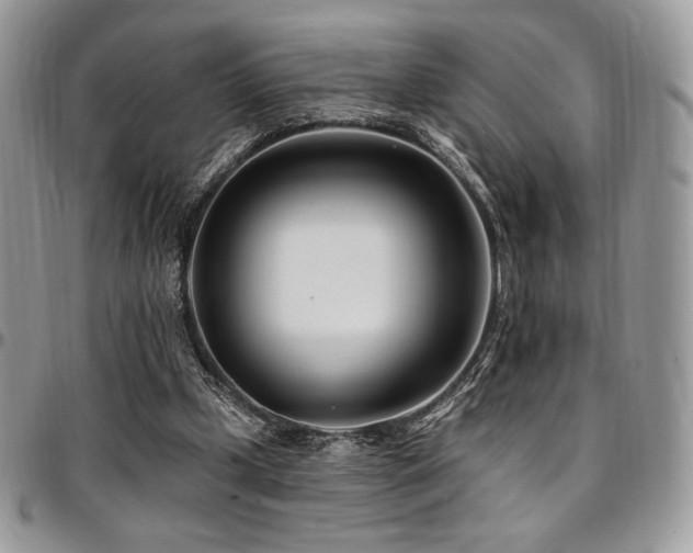 X0000095130249200712071314