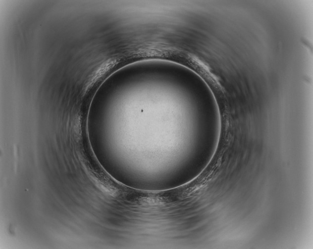 X0000095130250200712071314