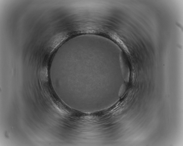 X0000095130251200712071314