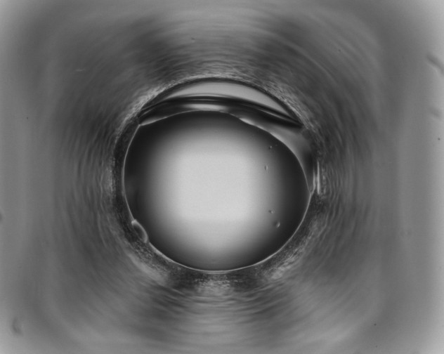 X0000095130252200712071314