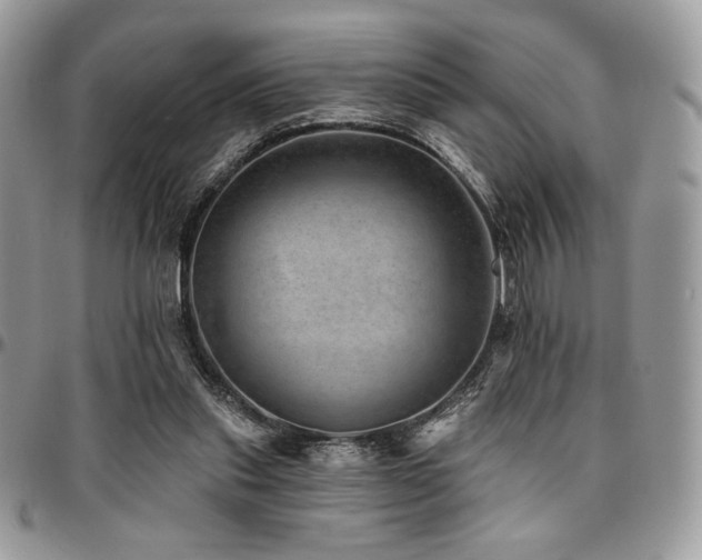 X0000095130253200712071314