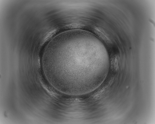 X0000095130254200712071314