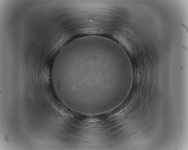 X0000095130255200712071314