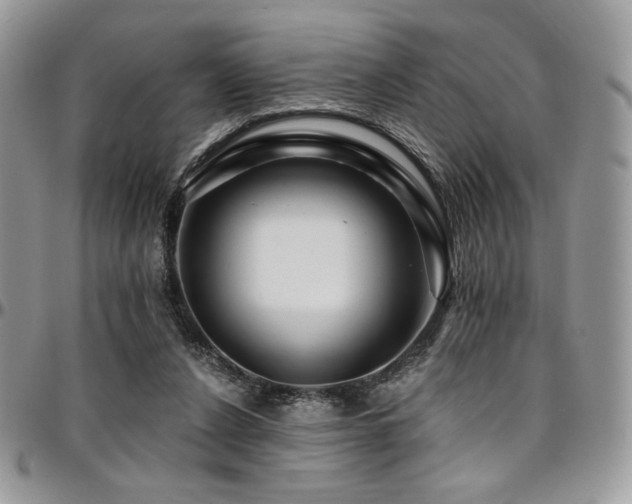 X0000095130256200712071314