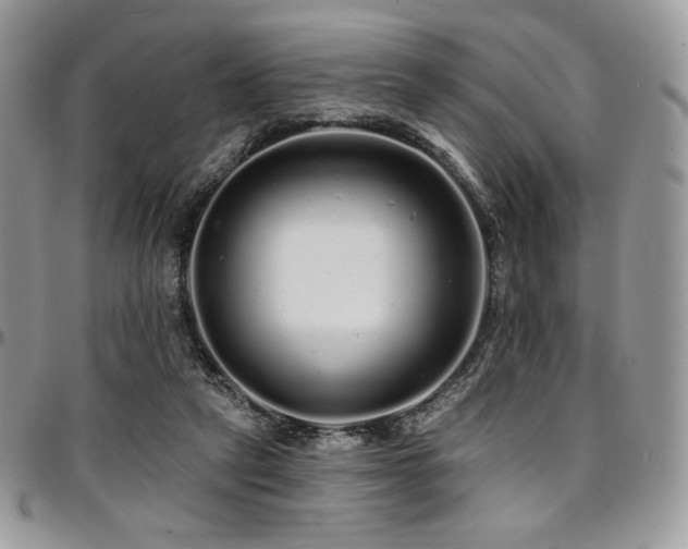 X0000095130257200712071314