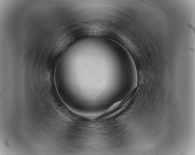 X0000095130258200712071314