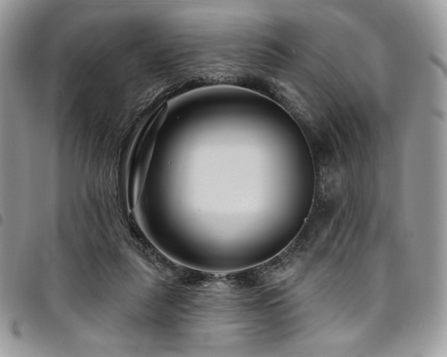 X0000095130259200712071314