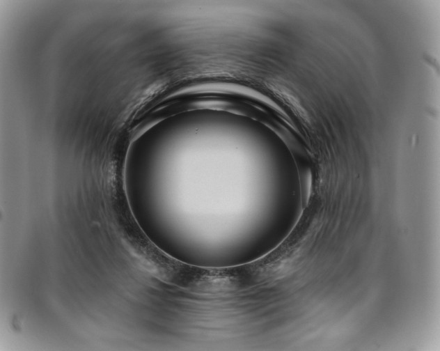 X0000095130260200712071314