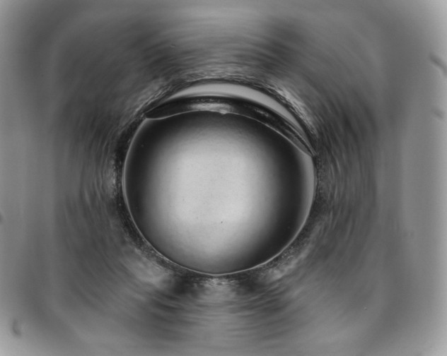 X0000095130261200712071314