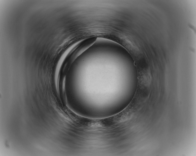 X0000095130262200712071314