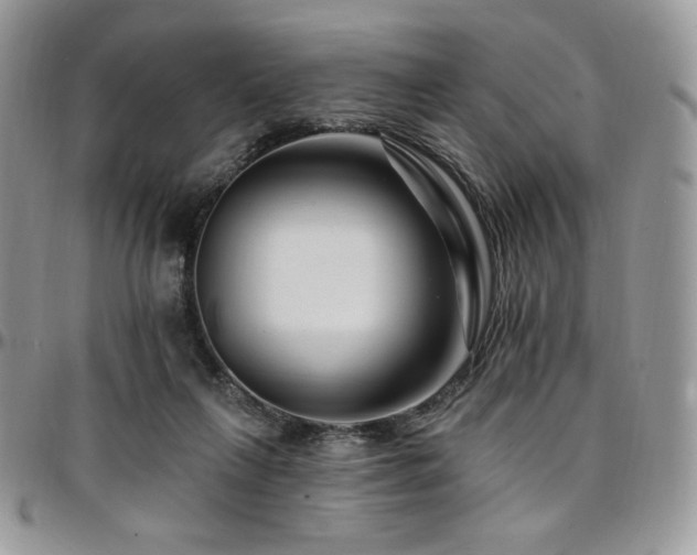 X0000095130263200712071314