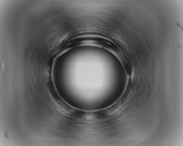 X0000095130264200712071314