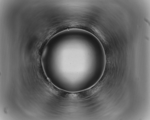 X0000095130265200712071314