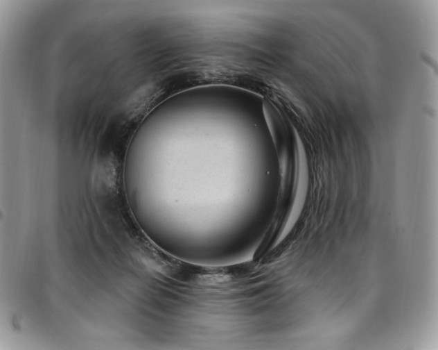 X0000095130266200712071314