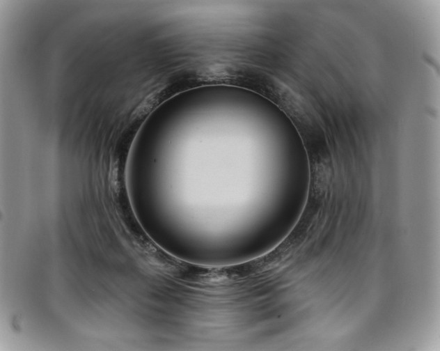 X0000095130267200712071315