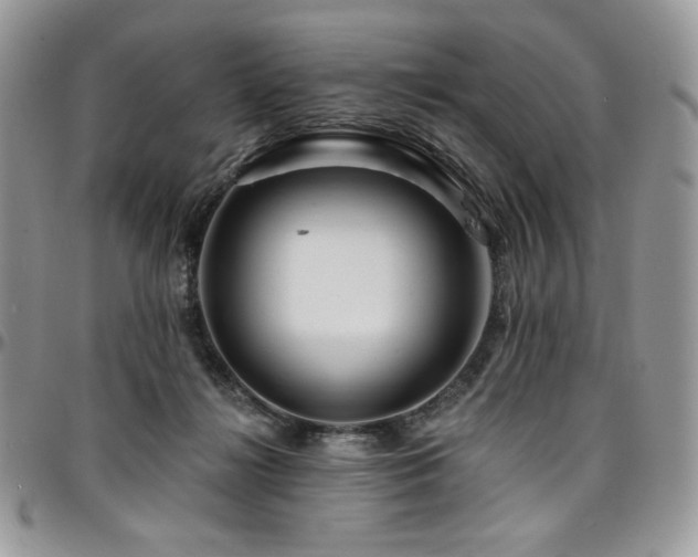 X0000095130268200712071315