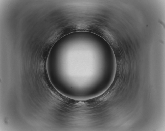 X0000095130269200712071315